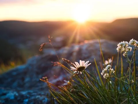 View from an viewpoint during sunset Stock Photos