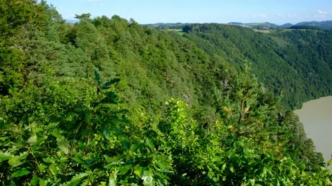View from viewpoint "steiner felsen" to the danube river in upper austria Stock Footage 138631651