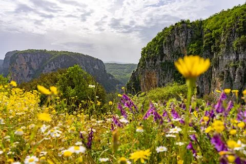 View of the Vikos Gorge, the deepest gorge in Europe, Epirus, Greece Stock Photos