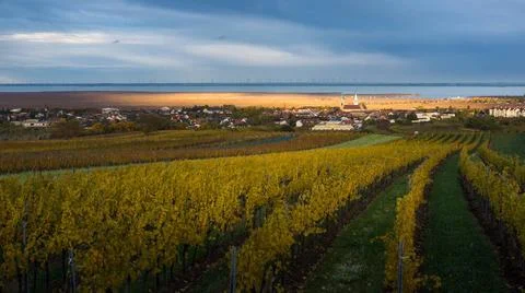 View on vilage of rust in Burgenland with lake neusiedlersee View on vilag... Stock Photos
