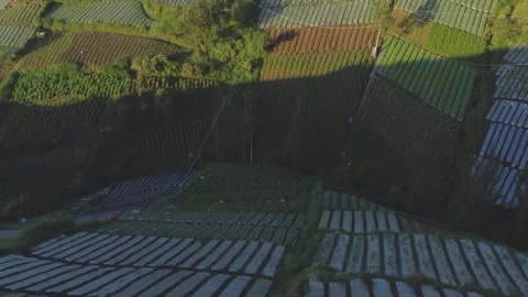 View of the village and Mount Merapi in the morning. Stock Footage 291492960