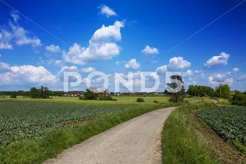 View of the village from the fields Stock Photos