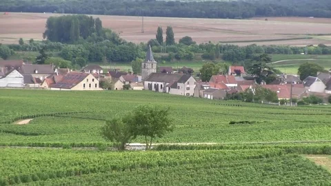 View of a village surrounded by vineyards Stock Footage 83873727