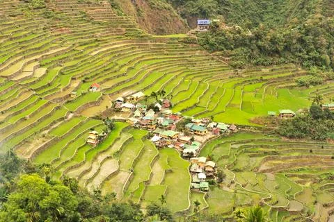 View of the village, town of Batad, surrounded by rice terraces, fields, padd Stock Photos