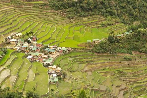 View of the village, town of Batad, surrounded by many rice terraces, fields, Stock Photos