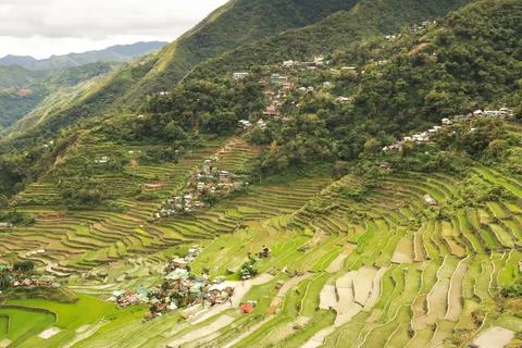View of the village, town of Batad surrounded by many rows or rice terraces,  Stock Photos