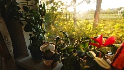 View from the village window Stock Footage 95274324