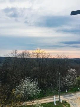 View from Vineyard Cottage 库存照片