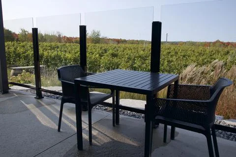 View of vineyard with dining table in the outdoor wine-tasting patio Stock Photos