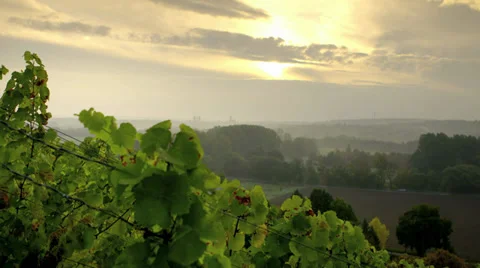 View From Vineyard Stock Footage 36052037