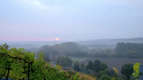 View From Vineyard Video stock 36052414