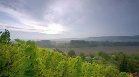 View From Vineyard Stock Footage 36052787