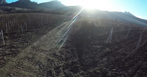 View of the vineyard in the mountains in autumn Stock Footage 84545949