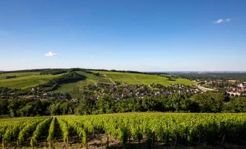 View of vineyard Stock Photos