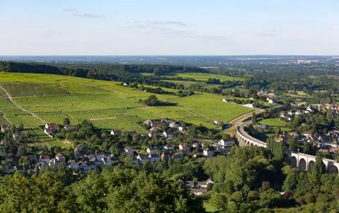 View of vineyard Stock Photos