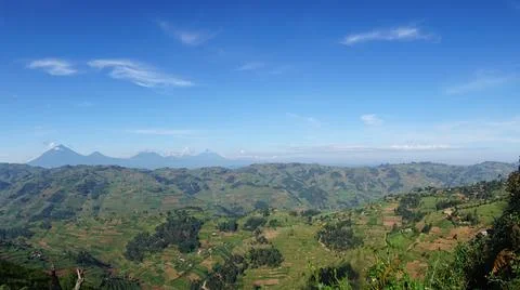 View onto the Virunga Mountain Range close to Bwindi Impenetrable Forest Stock Photos