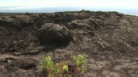 View of Volcanic Landscape In Hawaii 2 Stockbeeldmateriaal 19282010