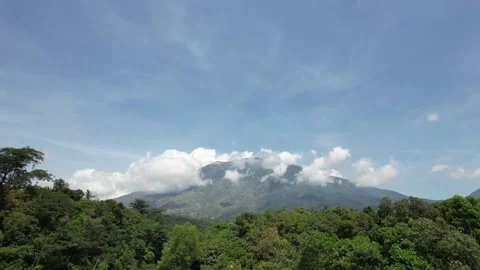 View of volcano emerging out of jungle Stock Footage 220114259