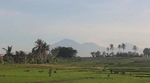 View of the Volcano Stock Footage 67528678