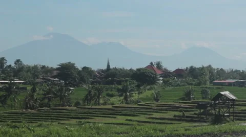View of the Volcanoes and Rice Fields Stock Footage 67531434