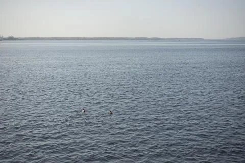 View of the Volga River 库存照片