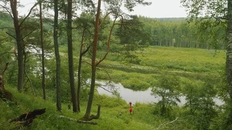 Up view of Vorya river and its green banks. View from German positions during Stock Footage 93813215