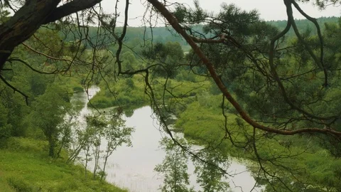 Up view of Vorya river and its green banks. View from German positions during Stock Footage 93813330