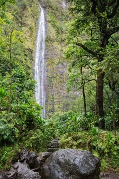 View of the Waimoku Falls Stock Photos