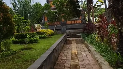 View of the walking area in the park Stock Footage 228805868