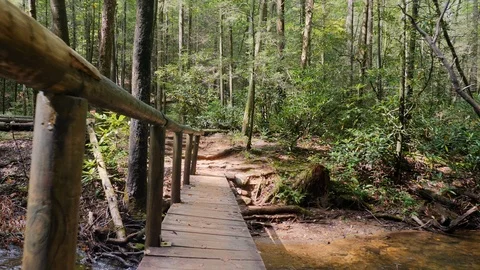 View Walking Over Bridge in Forest Video stock 96752804
