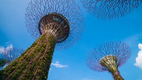 View walking on the road of supertree of gardens by the bay at Singapore Stock Footage 80916879