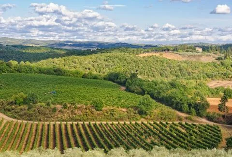 View from the wall - Monteriggioni Stock Photos
