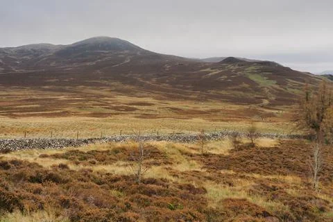 View from Walla Crag looking over to the paths up Bleaberry Fell, Lake Distri Stock Photos
