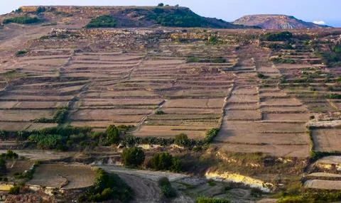 View from the walls of the rectangular fields on the island of Gozo, Malta 库存照片