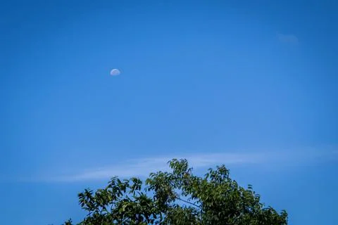 View of the waning moon comparing the resemblance to the top of a tree at t.. Stock Photos