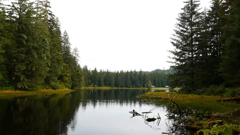 View of Ward Lake located around Tongass National Forest in Ketchikan, Alaska. Stock-Footage 121598643