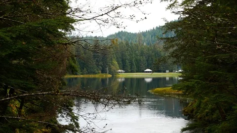 View of Ward Lake located around Tongass National Forest in Ketchikan, Alaska. Stock-Footage 121598699