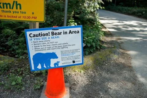 View of Warning sign Bear in Area inside the Lighthouse Park in West Vancouve Stock Photos