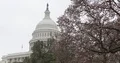 View of Washington DC Us Capitol Building United States Government Iconic Symbol 4k or 4k+ Resolution