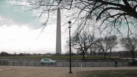 VIew of the Washington Monument in Washington, DC from park Stock Footage 245752785