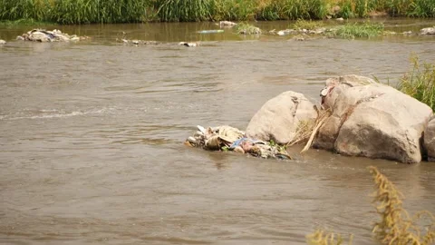 View of waste collected at the center of river, Shot of water flowing in river Stock-Footage 148538531