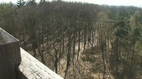 View from watch tower veluwe forest early spring 01i 動画素材 10877843