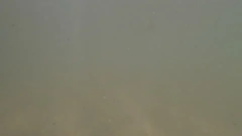 View from the water on beach of the Marker Wadden Stock Footage 206651337