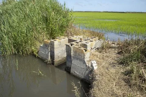 View of water control structure in natural reserve regulating irrigation fo.. Stock-Fotos