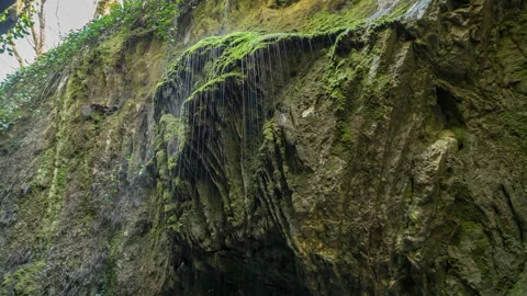 View of water dripping from a cliff covered by moss Stock Footage 142124445