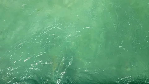 Up view of water flow in creek. Stock Footage 139965044