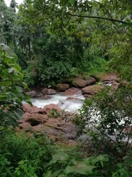 View of water flow through the stream Stock Photos
