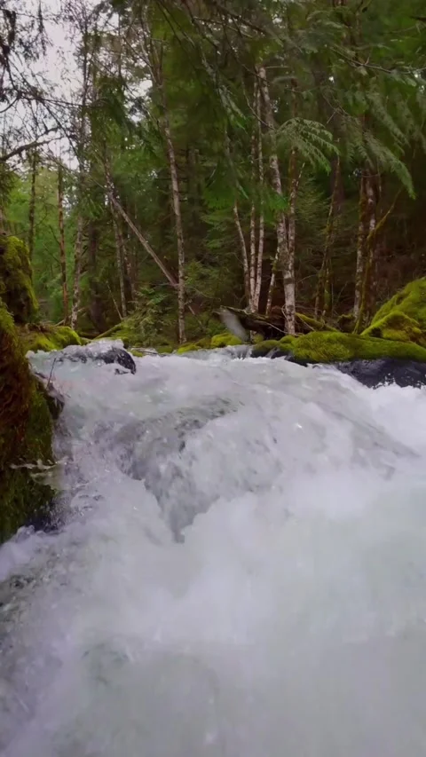 View of water flowing between the mountains Stock Footage 273975701