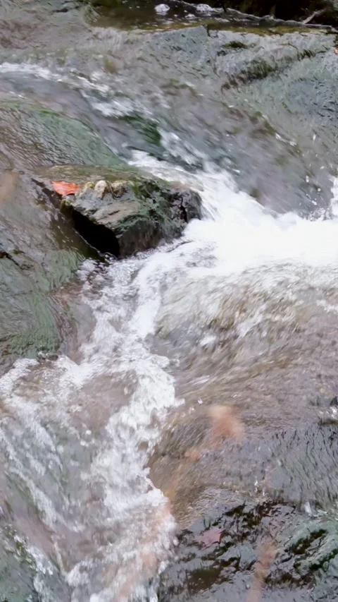 View of water flowing over mossy rocks in McLean, United States. 스톡 동영상 333526616