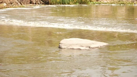 View of water flowing in river, View of large stone at the center of river Видео 148541188